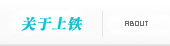 關于維嘉鑫